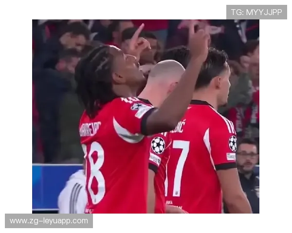 本菲卡准备挑战欧冠淘汰赛